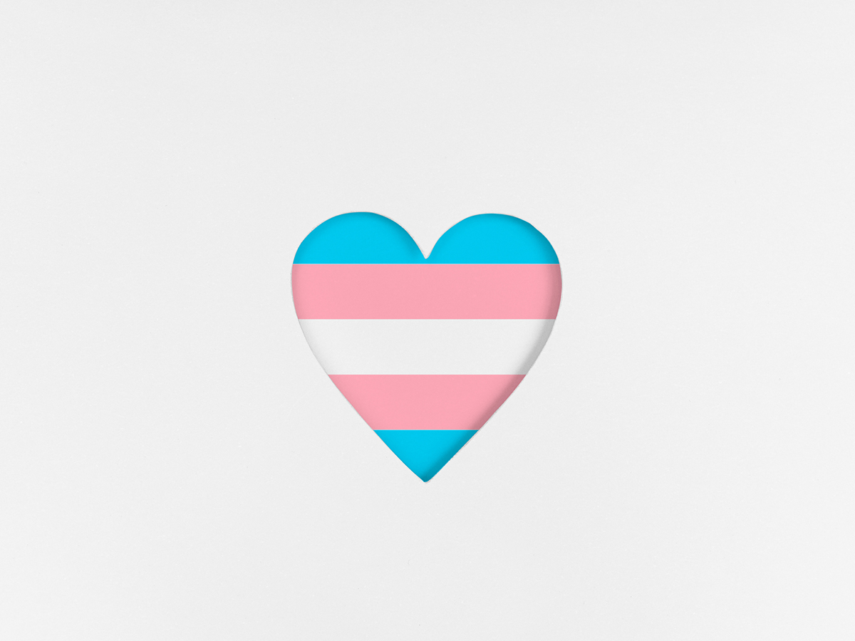 Recognizing International Transgender Day of Visibility 
