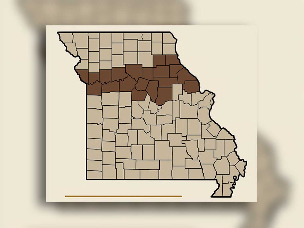 Missouri's "Little Dixie"