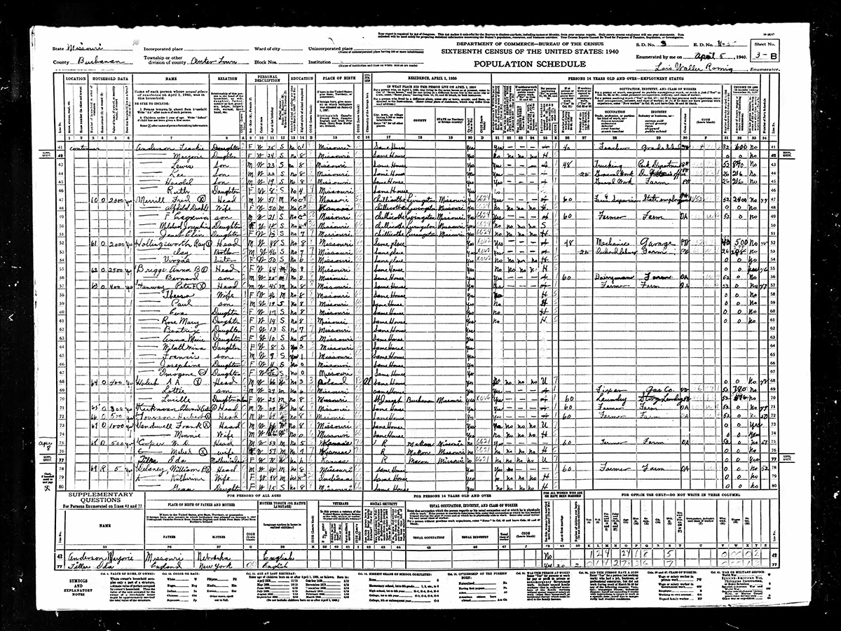 Census Snippets