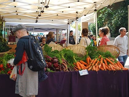 The Farmers Market as a Small Business Opportunity